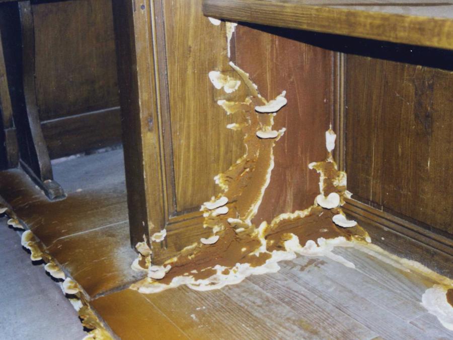 Restauration (photo8)